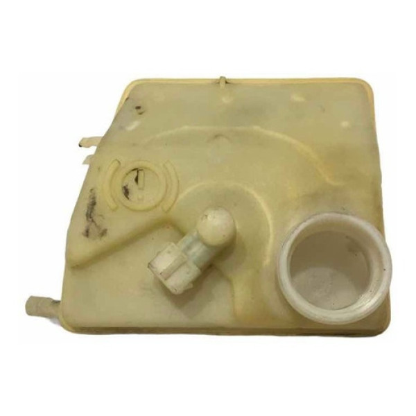 Reservatório Fluido Freio Peugeot 206/207