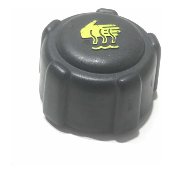 Tampa Reservatório Água Renault Fluence 10/15  #118