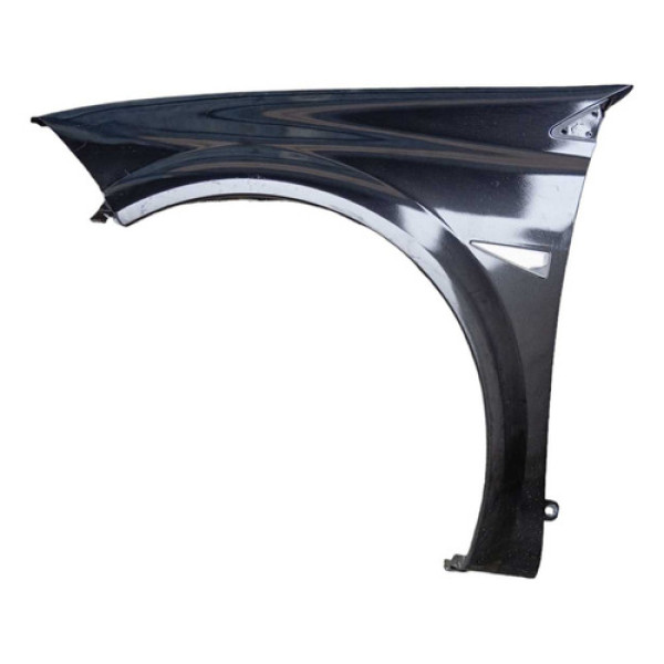 Paralama Lado Esquerdo Megane 07/13 8200011076