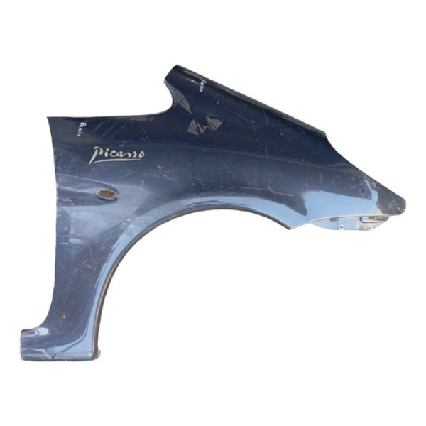 Paralama Direito Citroen Xsara Picasso 99/07 Original 