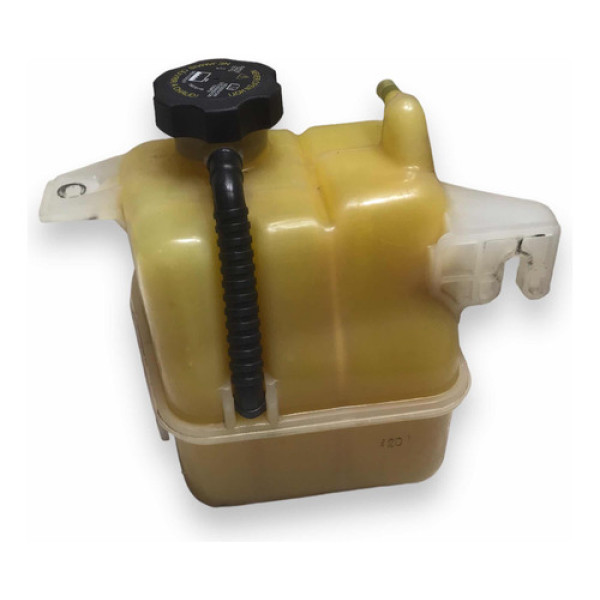 Reservatório Água Radiador Gm Captiva 3.0 2011 20813489