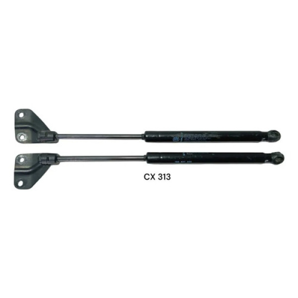 Par De Amortecedor Tampa Traseira Vw Up 13/20 1sb827550